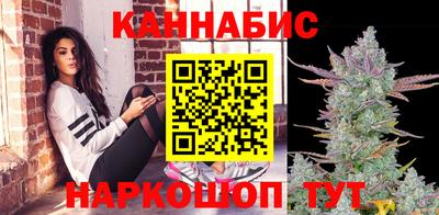 круглые Кингисепп