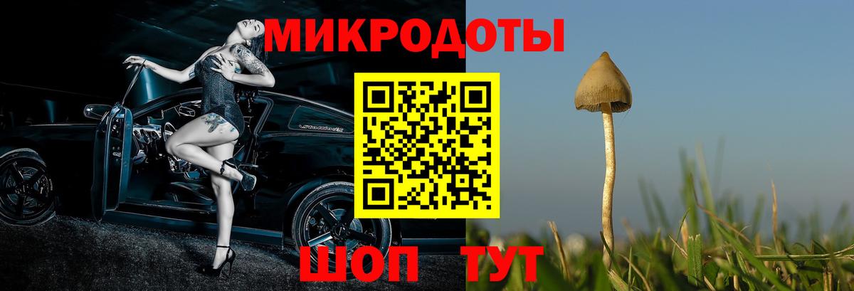 Галлюциногенные грибы Cubensis Ялта