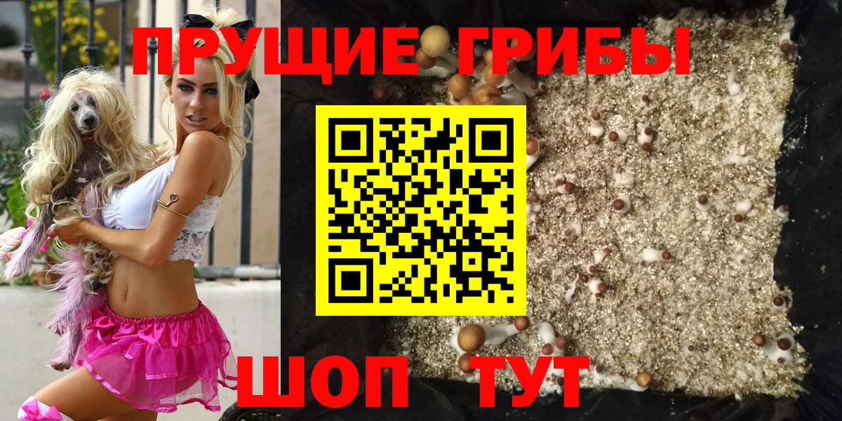 Ялта  Псилоцибиновые грибы мухоморы  Вход с VPN 
